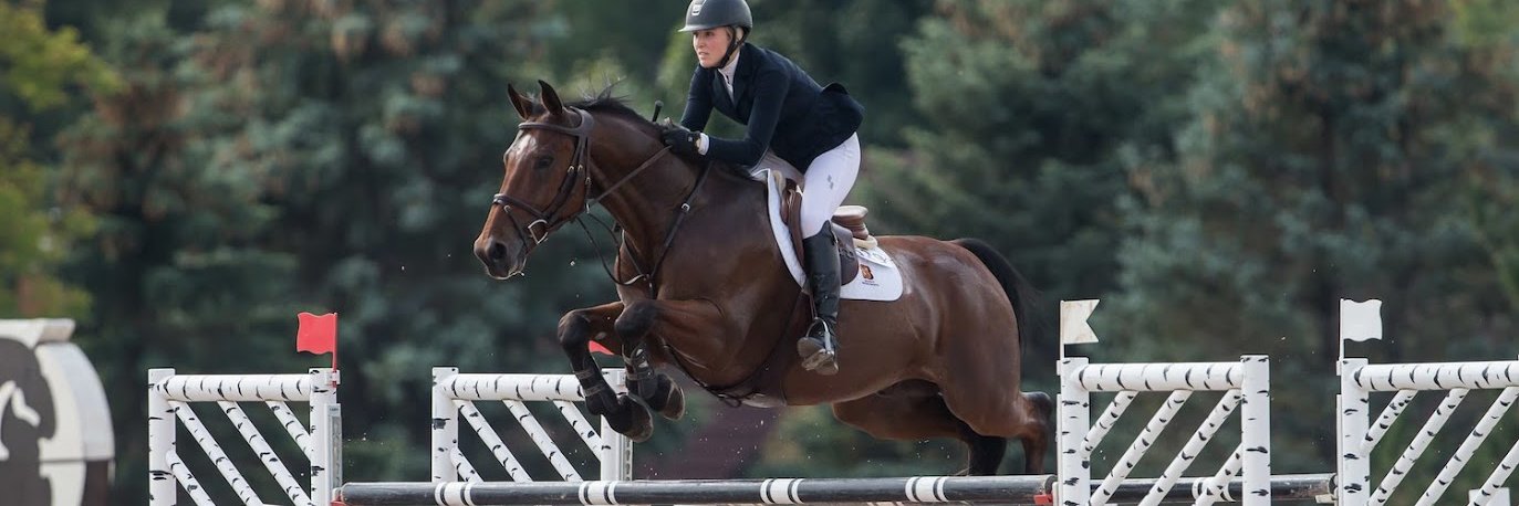 AN Equestrian banner