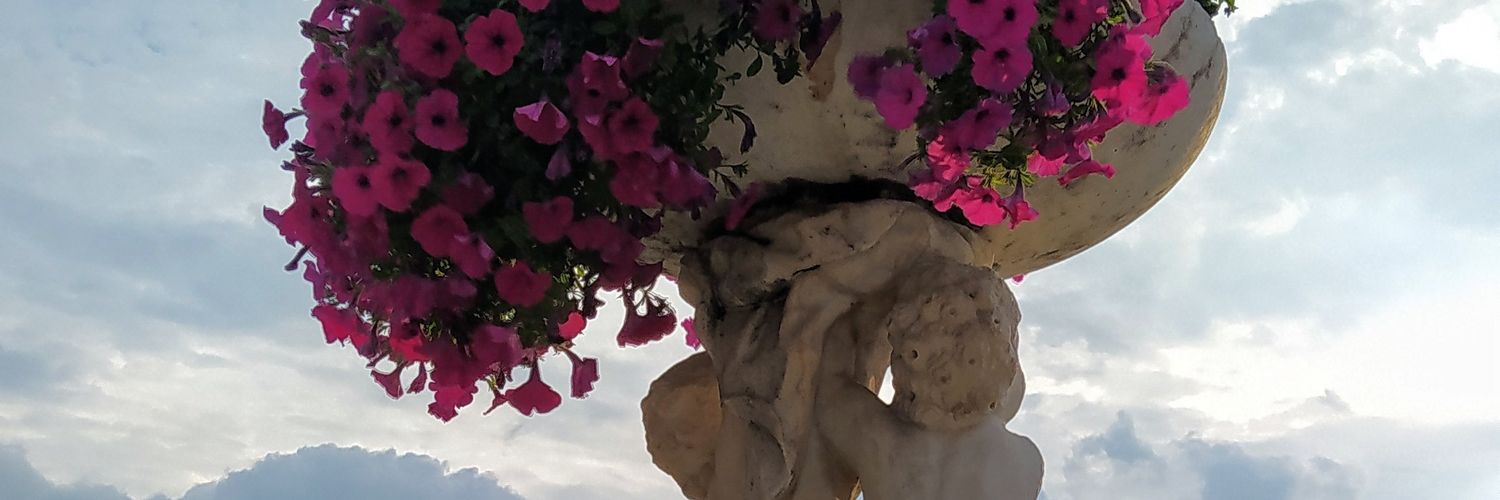 MariaCaroGuzman's profile banner image