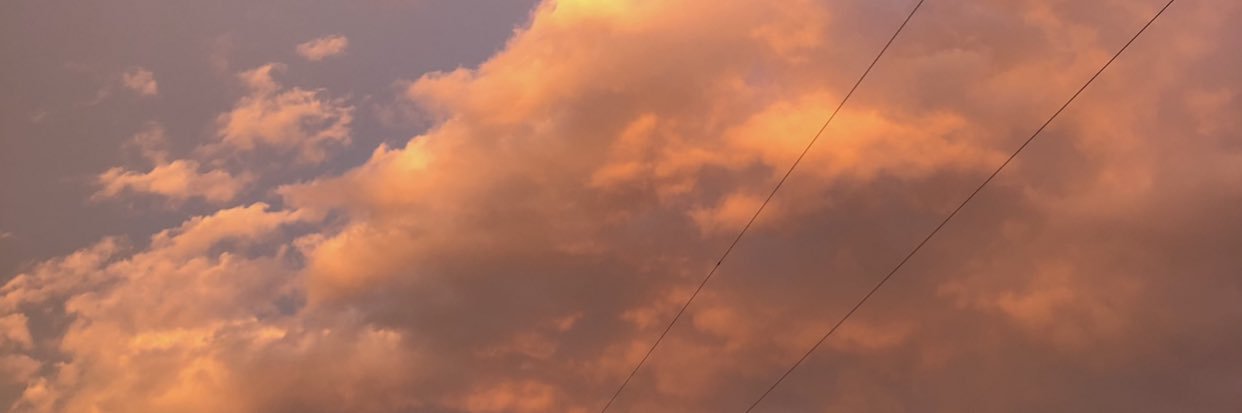 ash's banner