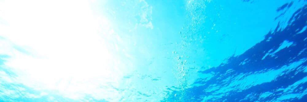 fishdom's profile banner image
