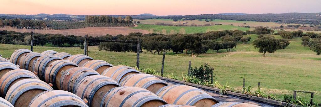 LeSommelierWine's profile banner image