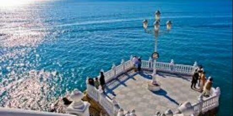 Rocio_moly's profile banner image