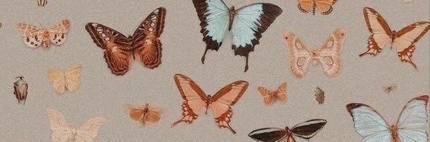 kiraffexo's profile banner image
