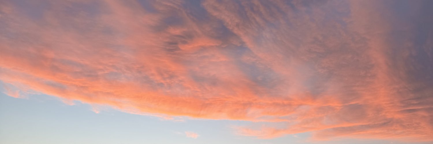 Neni Panadera banner