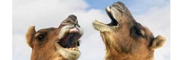 justafool53's profile banner image