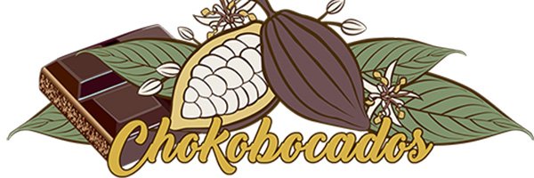 chokobocados's profile banner image