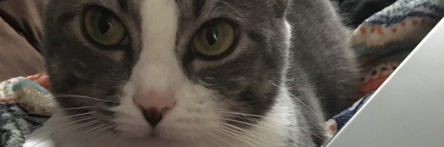 LilBittyTexan's profile banner image