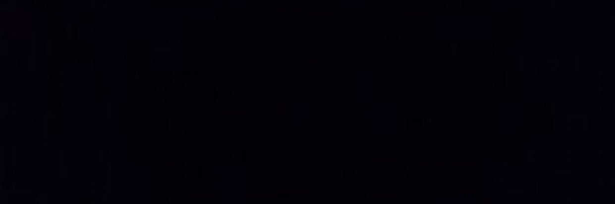 thaila banner