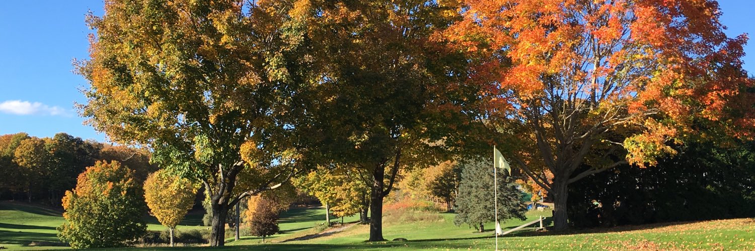 Cheryl Abbott banner
