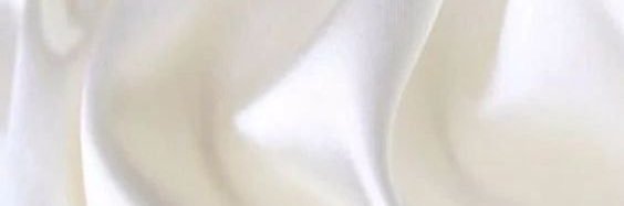 بشاير الشمري. banner