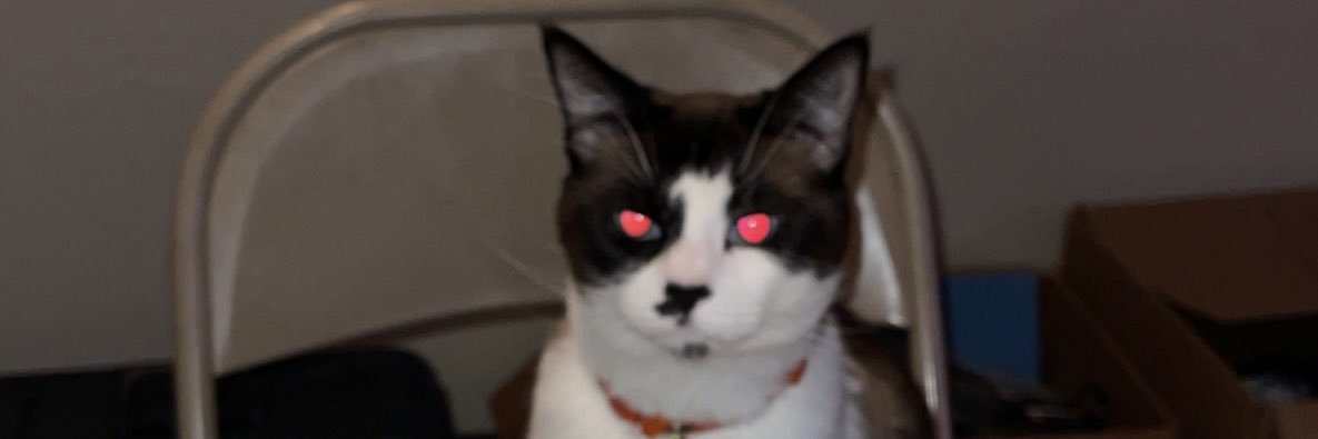 E. (+85%) banner