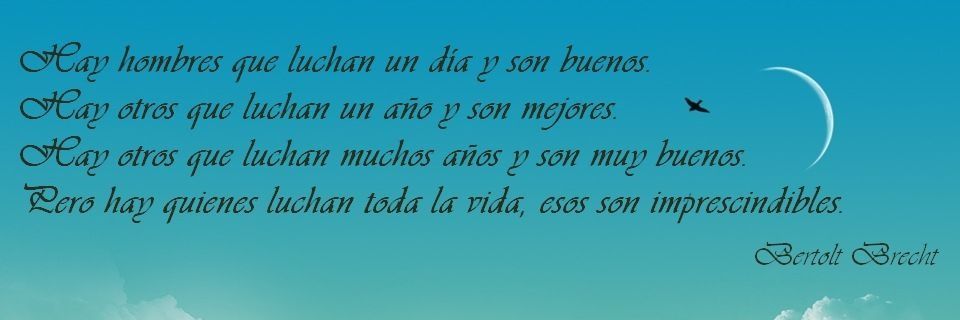 CamiloMolina19's profile banner image