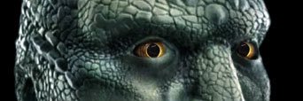 lizardceleb's profile banner image
