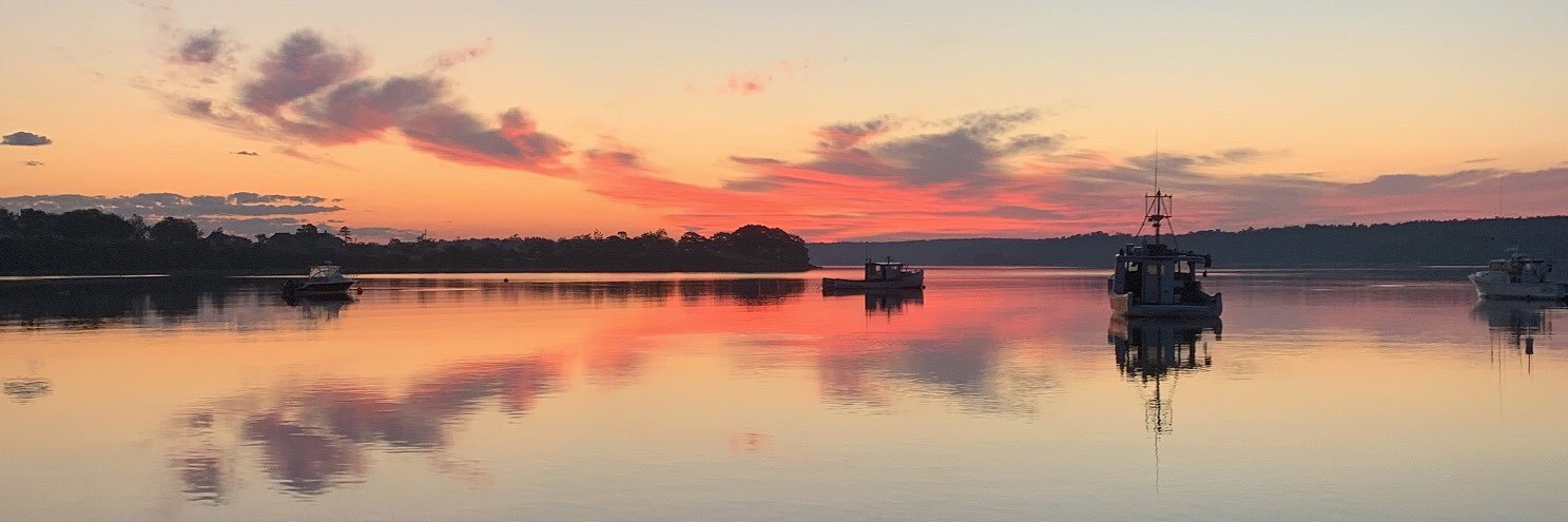 David Maillet banner