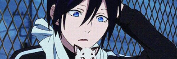 Leily_Cat's profile banner image