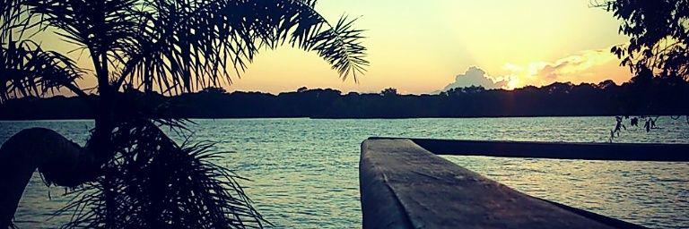 AlanaSBarckert's profile banner image