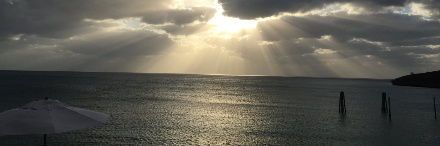 elzeegee's profile banner image