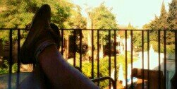 Aaron_Torres97's profile banner image