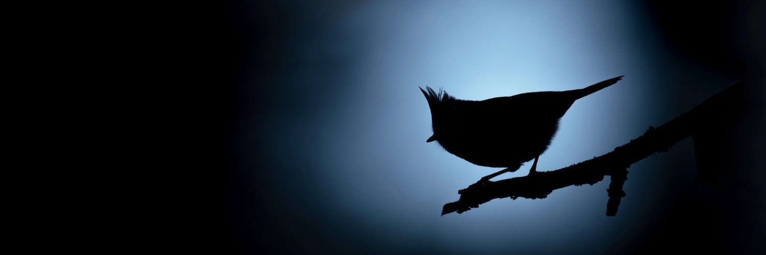 Joshua Copping banner