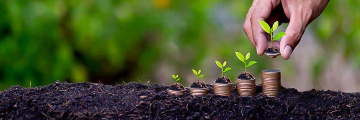 Agro do Brasil 🌱🇧🇷 🌱 banner