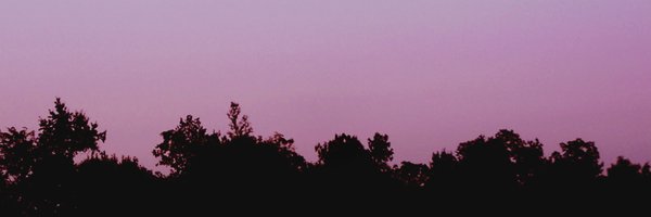 VegeftSamu's profile banner image