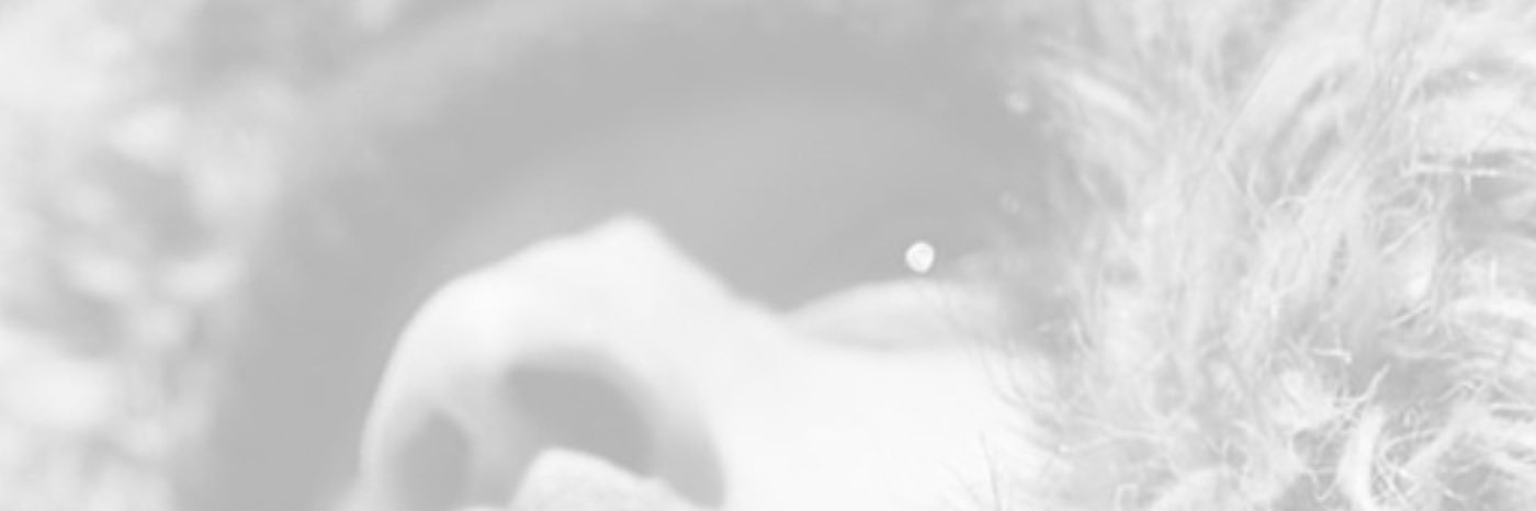 TonyTroubles's profile banner image