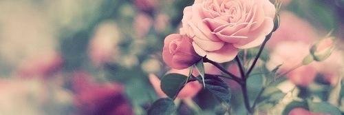 Maulida_ins's profile banner image