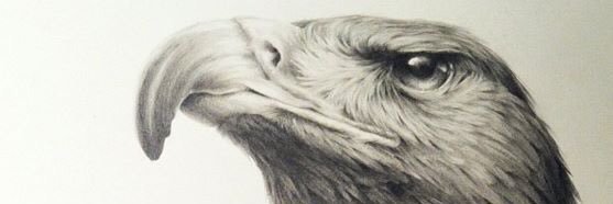 Najaibut's profile banner image
