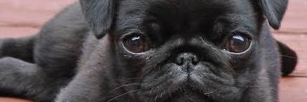 pint_mini_size's profile banner image