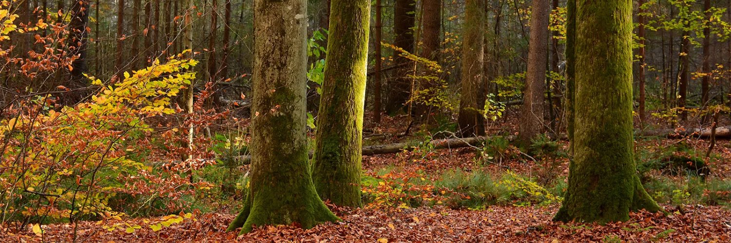 Joseph Miller banner