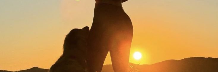 linaselesto's profile banner image