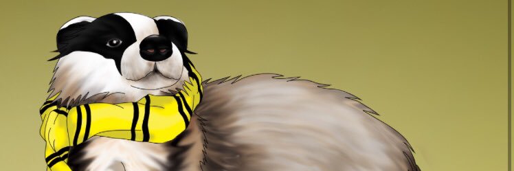 MarcoFiore9's profile banner image