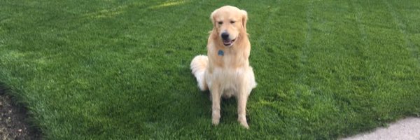 kampman22 Profile Banner