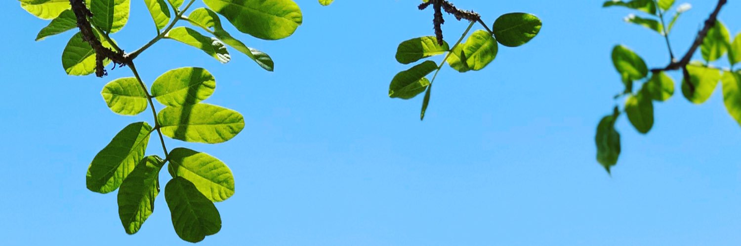 Tuliz banner