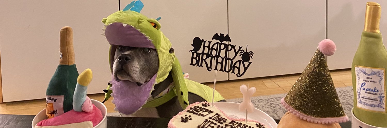 Lauren Wiedmeier banner