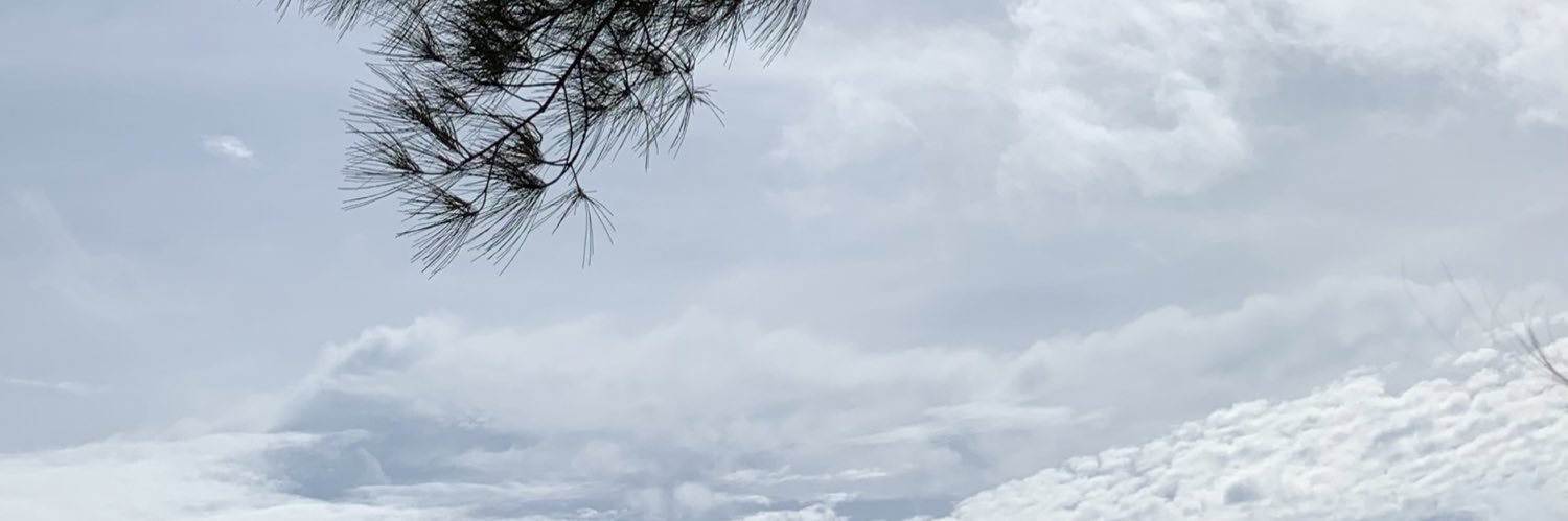 sfebryw's profile banner image