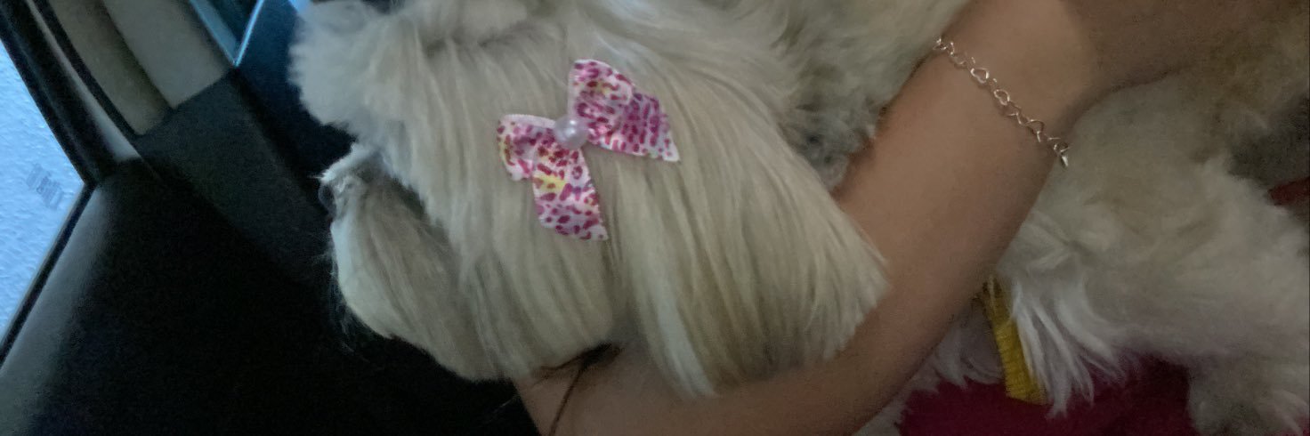 milenamrtinss's profile banner image