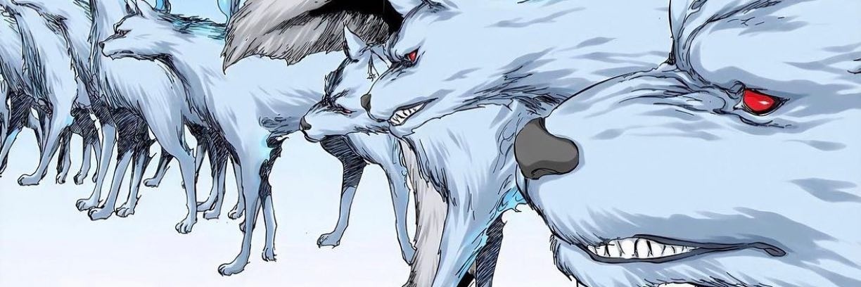 pedroxliv's profile banner image