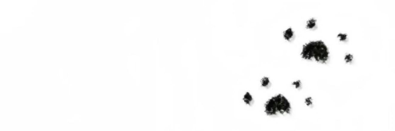 chandan20211802's profile banner image