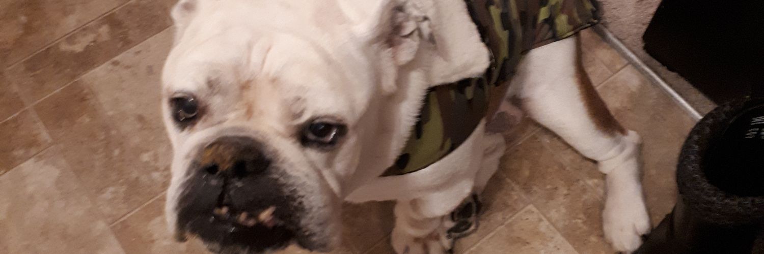 Burnedtoast13's profile banner image