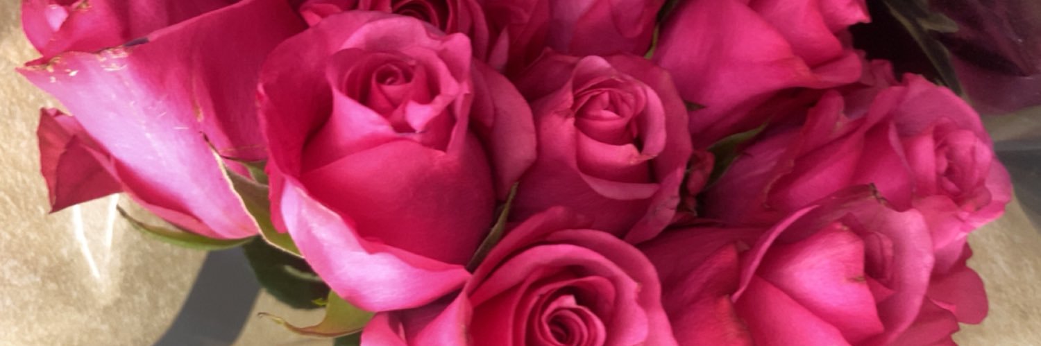 lynette_jaimes's profile banner image