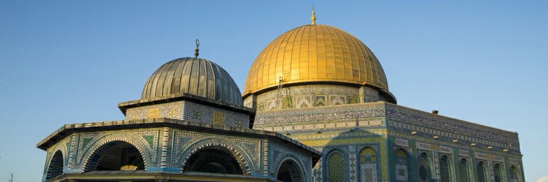 Mohsin Tomar محسن banner