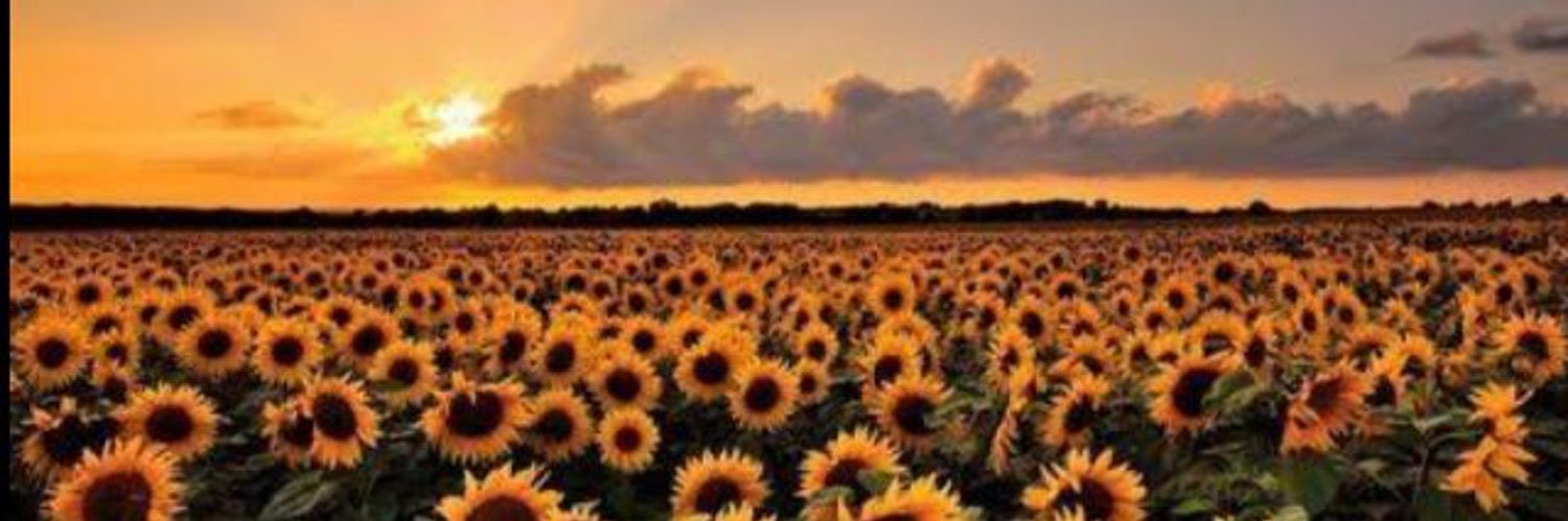 DjHta's profile banner image