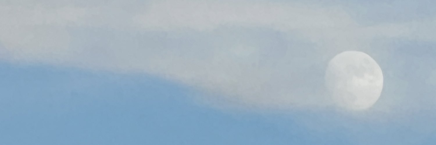 nullmayou3's profile banner image