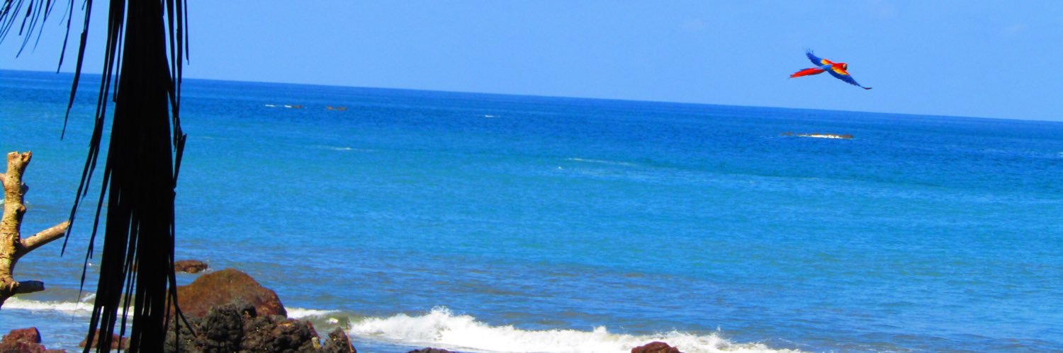 TeriThames's profile banner image