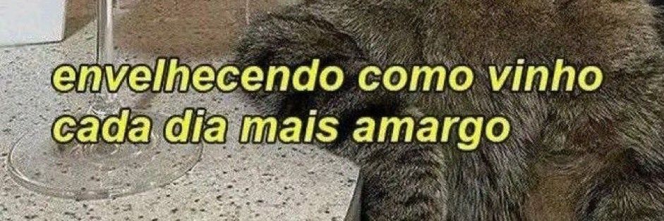 brunabsimas's profile banner image