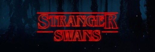 SwanKenobi's profile banner image