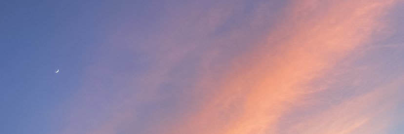 bree_livechee's profile banner image