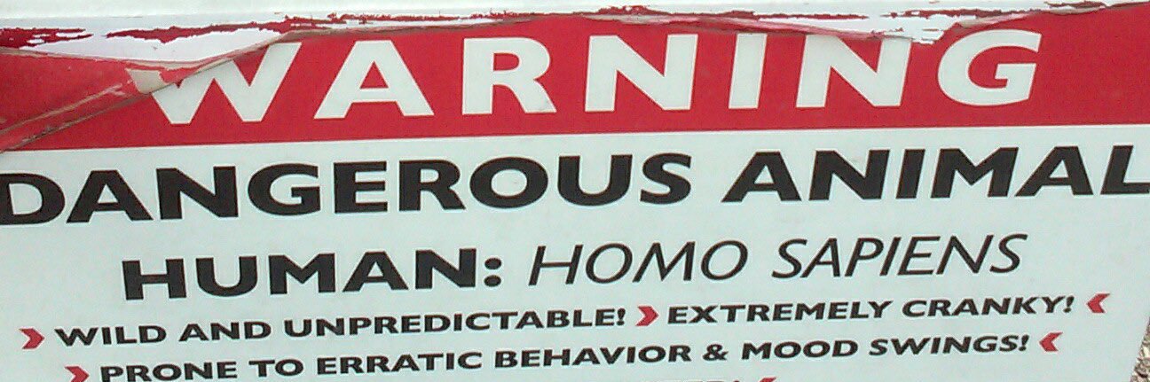 Folk. banner