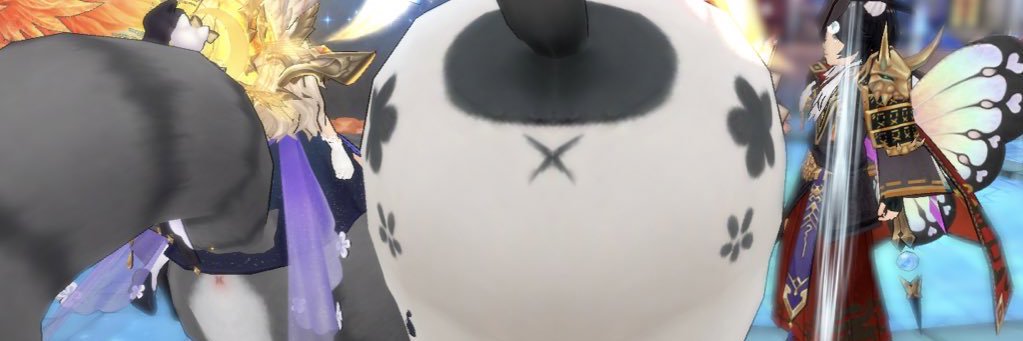 daregatibida's profile banner image